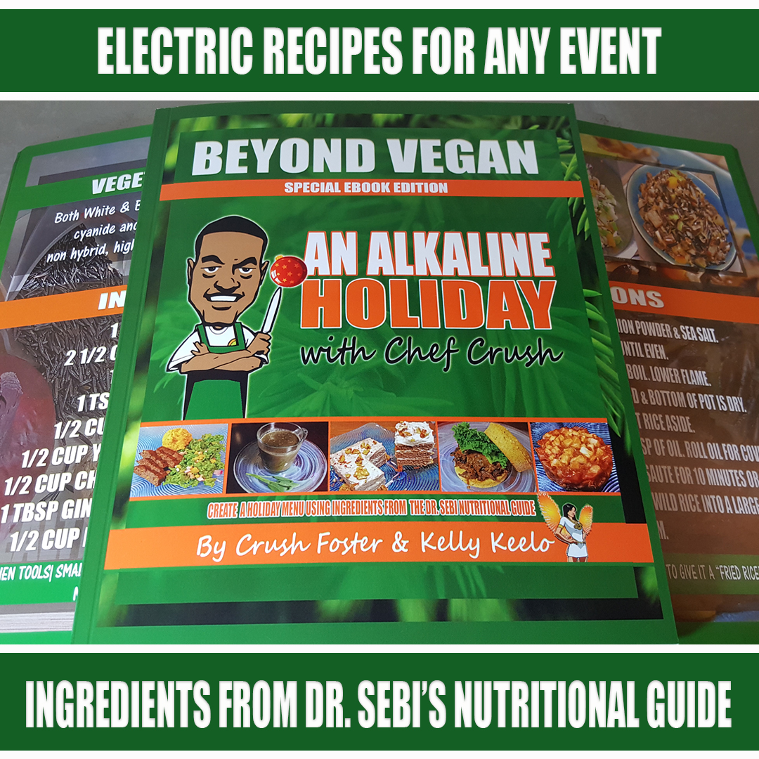 3 Black Vegan Cookbooks You Can Download For The Holidays! - Nu Origins ...